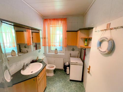 Grossveitscherthal的住宿－Charmante Ferienwohnung in St. Barbara im Mürztal，一间带水槽和卫生间的浴室