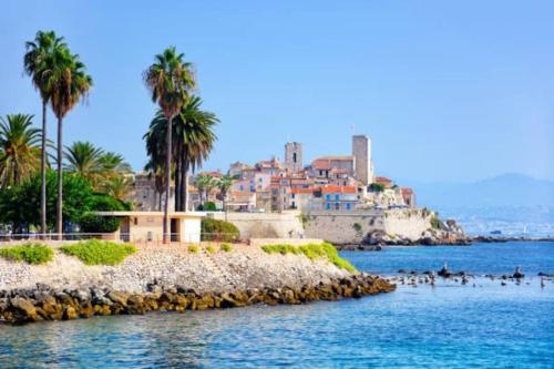Cosy appartement - Vieux port