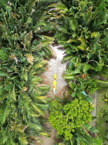 an aerial view of a kayak in a river between palm trees at Ba Danh Homestay & Kitchen - Ben Tre Mekong in Ben Tre