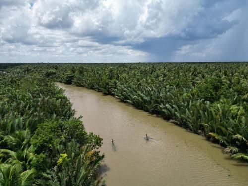 a boat in a river in a field of plants at Ba Danh Homestay & Kitchen - Ben Tre Mekong in Ben Tre