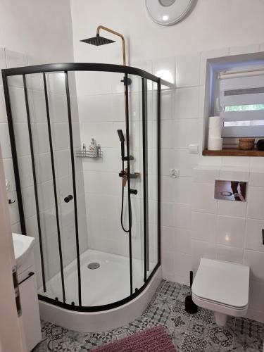 a white bathroom with a shower and a toilet at Pokoje Apartament LUX in Mikołajki