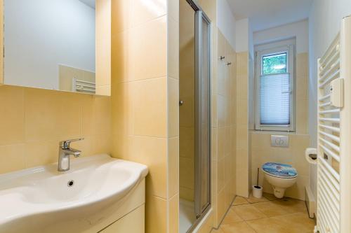 a bathroom with a sink and a shower and a toilet at 3 Zimmer FeWo Karli in Leipzig