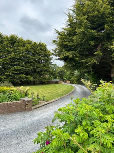 a winding road in a garden with trees and grass at Long View Guest Accommodation in Downpatrick