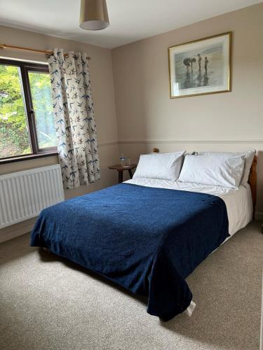 1 dormitorio con 1 cama con manta azul y ventana en Long View Guest Accommodation, en Downpatrick