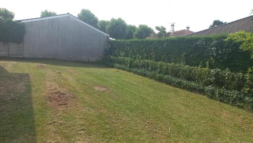 un patio con un seto y una valla en Maison à proximité de la ville avec jardin clôturé, en Casseneuil