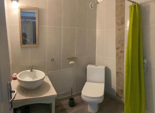 uma casa de banho com um WC branco e um lavatório. em la maison ocre em Saint-Julien-de-Briola
