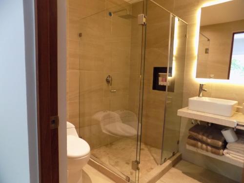 a bathroom with a shower and a toilet and a sink at Acapulco Diamante Varadero D001 in Acapulco