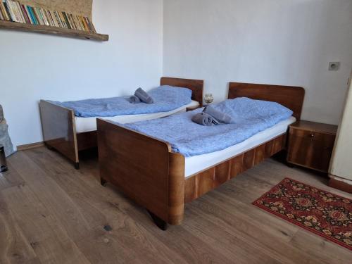 2 camas individuales en una habitación con alfombra en Dreamcatcher & Retro Hostel, en Žužemberk