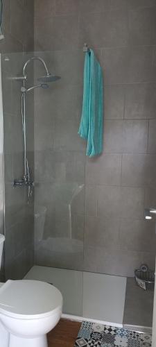 a bathroom with a shower with a toilet and a sink at Asociación deportiva TAGOROR LOS OLIVITOS in Adeje