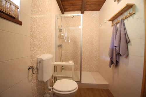 uma casa de banho com um WC e uma cabina de duche em vidro. em Kuća za odmor Koprivnjak em Tomaševci