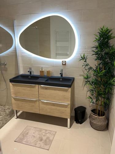 LʼHorme的住宿－Appartement avec Spa et Sauna，浴室设有水槽、镜子和植物