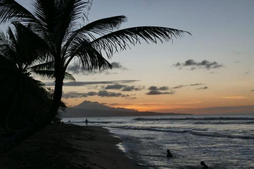 una playa con una palmera y el océano al atardecer en la villa caribéenne de la plage des surfeurs, en La Trinité