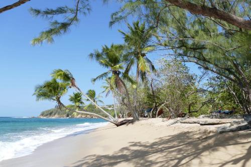 a beach with palm trees and the ocean at la villa caribéenne de la plage des surfeurs in La Trinité