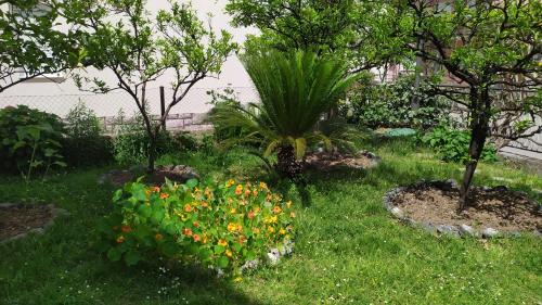 a garden with trees and flowers in the grass at Sea and Sunshine in Tivat