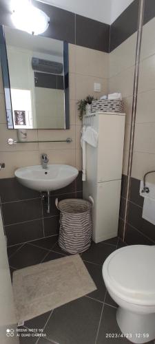 ein Bad mit einem Waschbecken und einem WC in der Unterkunft Apartman Sandra in Split