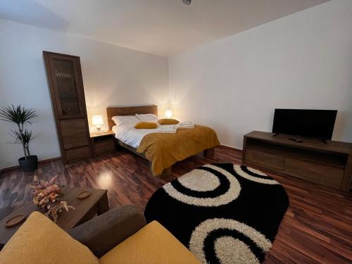 ein Schlafzimmer mit einem Bett, einem TV und einem Sofa in der Unterkunft Cozy Flat in Braşov