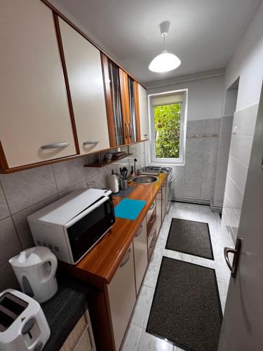 eine kleine Küche mit einer Spüle und einer Mikrowelle in der Unterkunft Cozy Flat in Braşov
