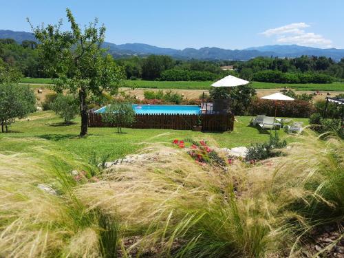 vistas a un jardín con piscina en Villa Colle di Giotto Mugello, Tuscany en Borgo San Lorenzo