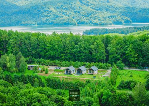 an aerial view of a house in the middle of a forest at Bieszczadzka Pauza in Polańczyk