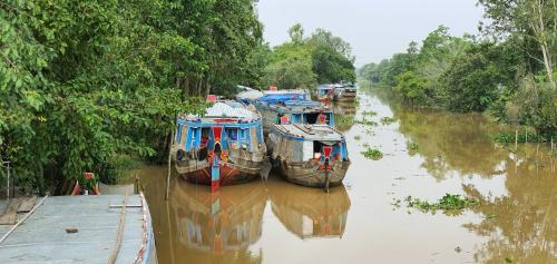 three boats are docked on a river with trees at Ba Danh Homestay & Kitchen - Ben Tre Mekong in Ben Tre