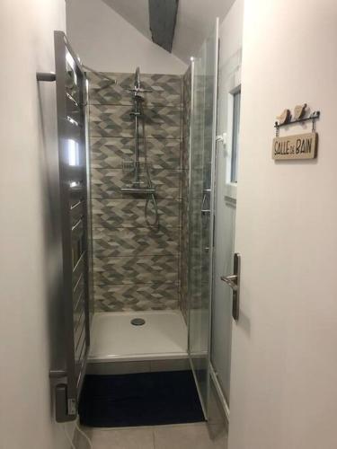 une douche avec une porte vitrée dans une salle de bain dans l'établissement Le Domremy F2 au cœur d'Orléans, à Orléans