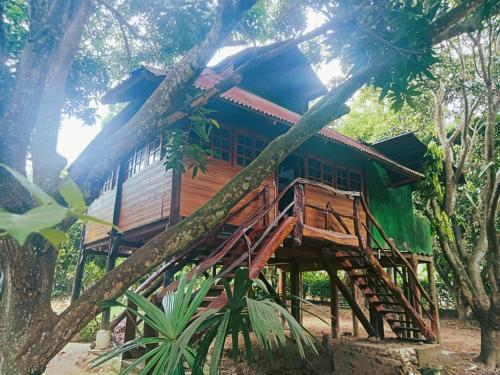 a tree house in the middle of a forest at Finca Los Mangos in Palomino