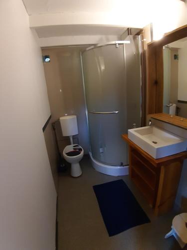 a bathroom with a toilet and a shower and a sink at Letni Spokój in Worliny