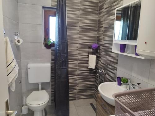 a bathroom with a toilet and a sink at Kuća za odmor Miriam in Otočac
