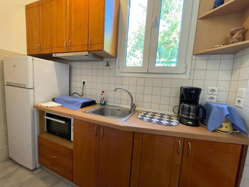 a small kitchen with a sink and a refrigerator at Pegasus Studios & Apartments in Skiros
