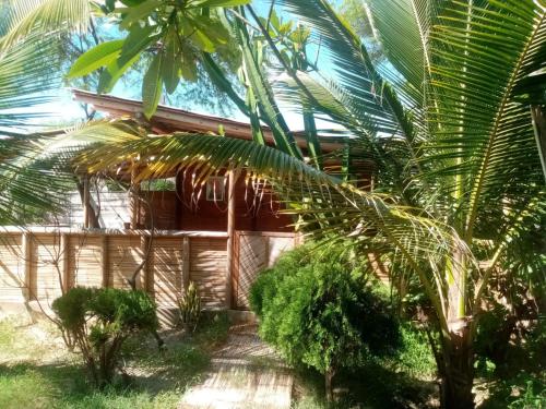a house with a palm tree in front of it at La Casa de Diego in Zorritos