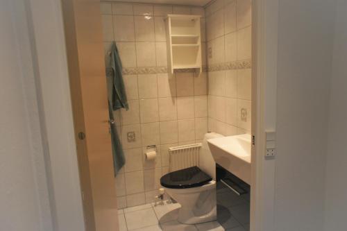 a small bathroom with a toilet and a sink at Vesterhavsgade 47. door 25 (id. 076) in Esbjerg