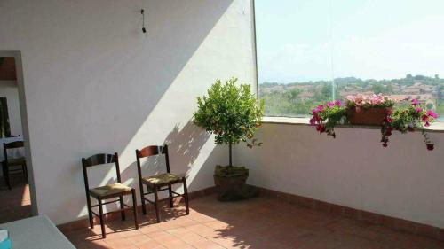 Балкон или терраса в Agriturismo Gli Aranci dell'Etna