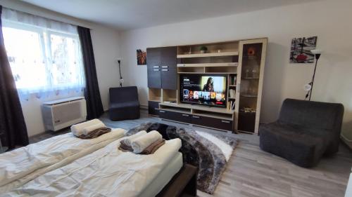 1 dormitorio con 1 cama y TV de pantalla plana en Freedom-Fehérvár apartman, en Székesfehérvár