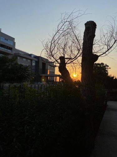 Η ανατολή ή δύση του ηλίου όπως φαίνεται από αυτό το hostel ή από εκεί κοντά