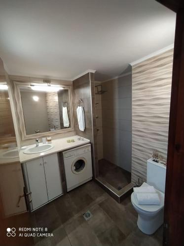 a bathroom with a toilet sink and a washing machine at Vasilis house in Kallirákhi