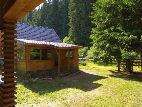 a small cabin with a solar roof on a yard at Pin chalet in Borzont