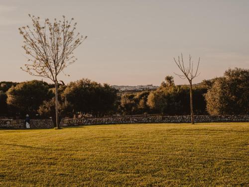 a field with two trees and a stone wall at Amagatay Luxury Boutique Hotel - Adults Only in Alaior