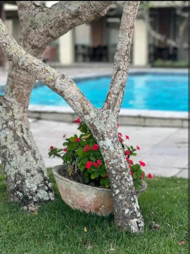 Kolam renang di atau dekat dengan FLATS MONTE CASTELO GRAVATÁ MELHOR LOCALIZAÇÃo