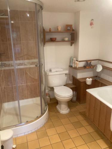 uma casa de banho com um chuveiro, um WC e um lavatório. em The Manger at Bethersden, nr Tenterden and Ashford em Bethersden