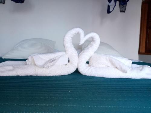 Dois cisnes de toalha estão sentados numa cama em La Résidence Tiako em Ambondrona
