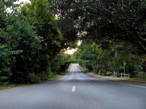 an empty road with trees on either side at Mountain Sanctuary B&B in Mount Tamborine