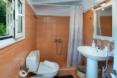 a bathroom with a toilet and a sink at Aphrodite's hidden gem on Paxos island in Velianitátika