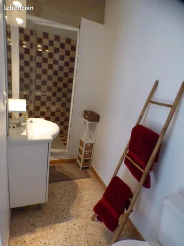 La salle de bains est pourvue de lits superposés et d'un lavabo. dans l'établissement Maison sur la rivière, à Lasalle