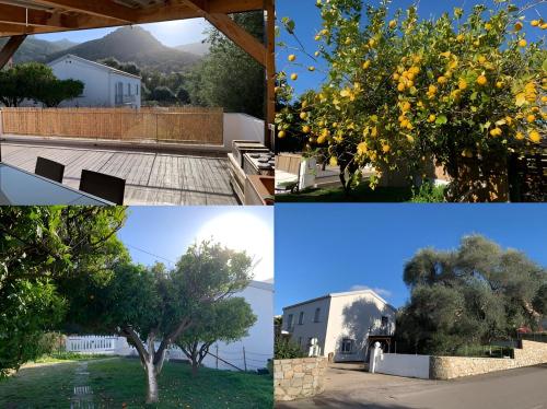 Rez Haut de villa à Calenzana