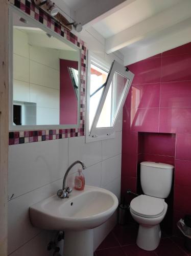 a bathroom with a sink and a toilet and a mirror at Kavos Plaza Hotel in Kavos