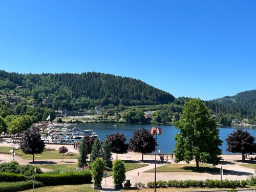 a view of a body of water with a harbor at L’esplanade du lac in Gérardmer