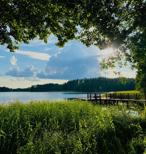 a bench sitting next to a lake with the sun at Dolina Jelenia in Gorczyca