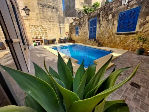 una piscina con una pianta accanto a un edificio di MJ Farmhouse B&B a Xagħra