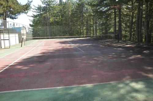 una pista de tenis con una persona de pie en ella en In mezzo al bosco, en Salerni