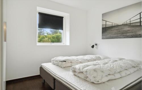 3 Bedroom Awesome Home In Holbk في Kisserup: سريرين في غرفة بيضاء مع نافذة